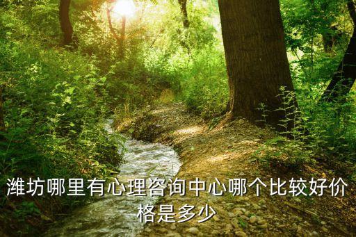 濰坊哪里有心理咨詢中心哪個比較好價格是多少