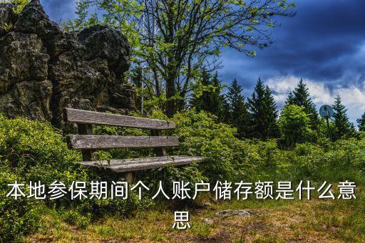 本地參保期間個人賬戶儲存額是什么意思