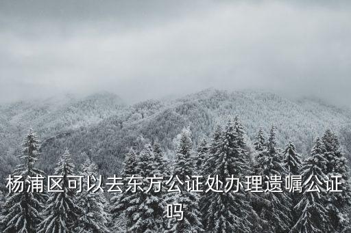 上海市東方公證處，上海市東方公證處怎么樣