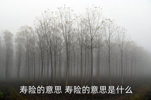 壽險(xiǎn)是什么,富德生命如意金典終身壽險(xiǎn)是什么