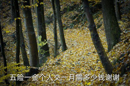 五險一金個人交一月需多少錢謝謝