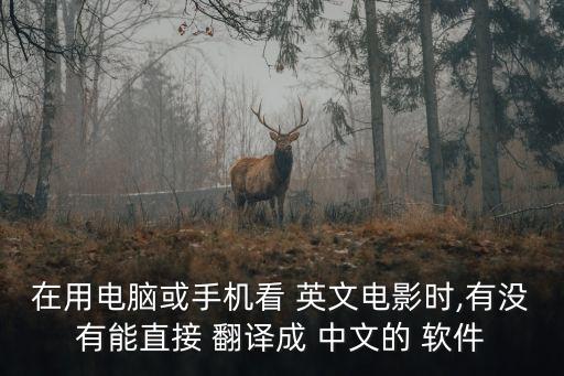 在用電腦或手機(jī)看 英文電影時(shí),有沒有能直接 翻譯成 中文的 軟件