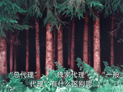 “總代理”、“ 獨家代理”、“一般代理”有什么區(qū)別呢