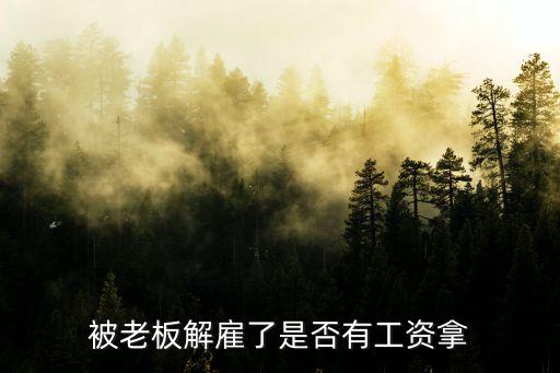 被公司辭退，被老板解雇了是否有工資拿