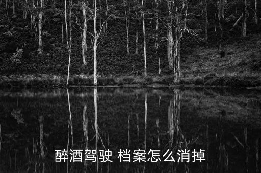 酒駕記錄消除代辦，醉酒駕駛 檔案怎么消掉