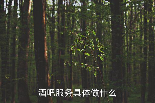 酒吧服務(wù)，酒吧服務(wù)具體做什么