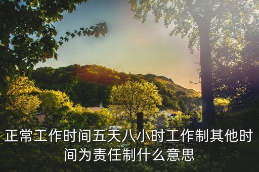 正常工作時間五天八小時工作制其他時間為責(zé)任制什么意思