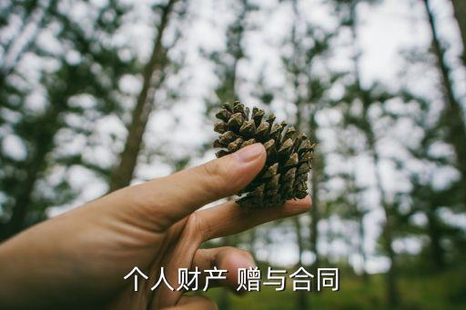 自愿贈(zèng)與錢財(cái)協(xié)議書,情侶自愿轉(zhuǎn)賬贈(zèng)與協(xié)議書范本