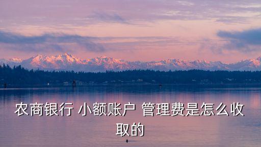 小額管理費,銀行卡小額管理費