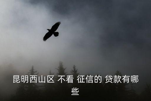 昆明西山區(qū) 不看 征信的 貸款有哪些
