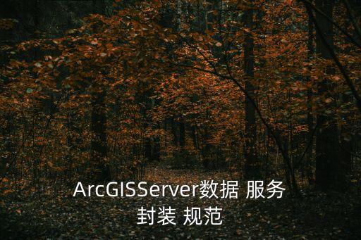 ArcGISServer數(shù)據(jù) 服務(wù)封裝 規(guī)范