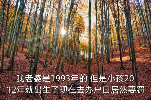 我老婆是1993年的 但是小孩2012年就出生了現(xiàn)在去辦戶口居然要罰