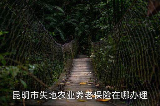 失地農(nóng)民養(yǎng)老保險(xiǎn)，失地農(nóng)民交職工養(yǎng)老保險(xiǎn)有哪些優(yōu)惠待遇