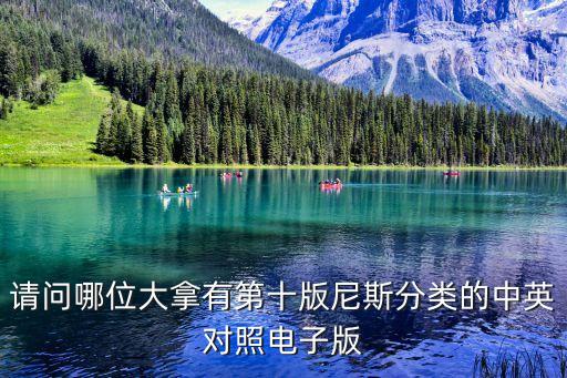 尼斯分類表，關(guān)于新版的商標(biāo)用商品及服務(wù)國(guó)際分類尼斯分類