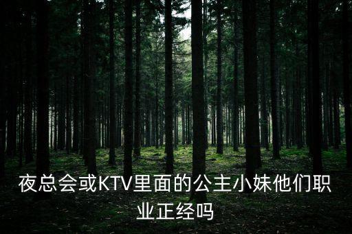 夜總會(huì)小姐，ktv小妹是什么意思