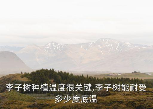 李苗
