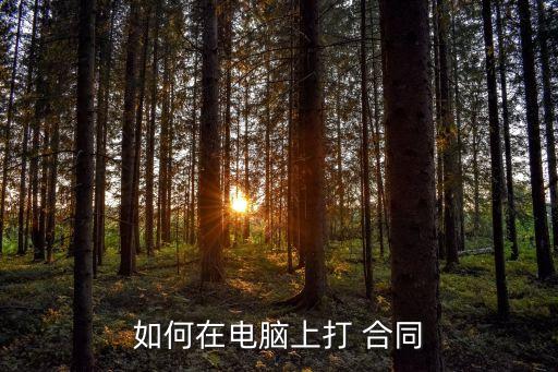 如何在電腦上打 合同