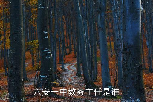 程永紅，六安一中教務(wù)主任是誰