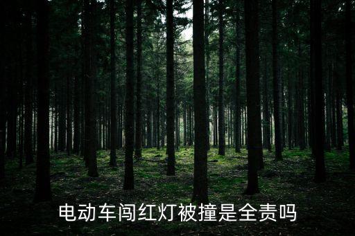 電動(dòng)車(chē)闖紅燈被撞是全責(zé)嗎