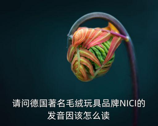 因該，請問德國著名毛絨玩具品牌NICI的發(fā)音因該怎么讀
