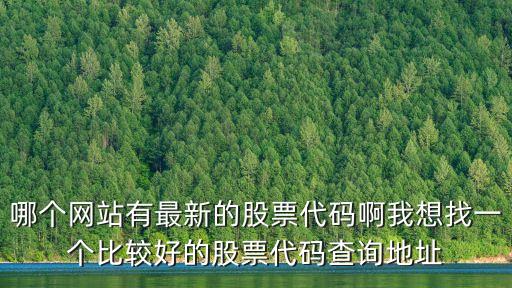 哪個網(wǎng)站有最新的股票代碼啊我想找一個比較好的股票代碼查詢地址