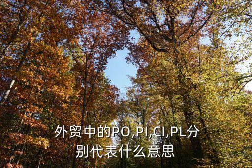 外貿(mào)合同常見術(shù)語翻譯,外貿(mào)中合同