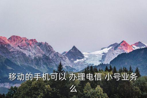 移動小號怎么辦理,虛擬小號app哪個好