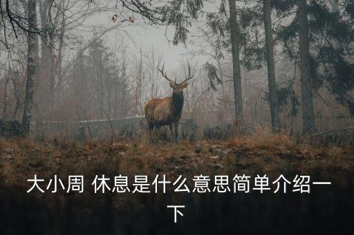 大小周 休息是什么意思簡(jiǎn)單介紹一下