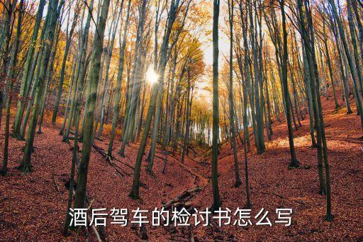 醉駕悔過書，醉酒駕駛機動車的悔過書怎樣寫