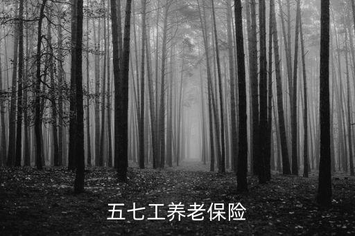 五七工養(yǎng)老保險，五七工養(yǎng)成保險現(xiàn)在還能辦么
