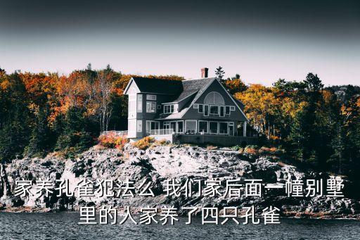 家養(yǎng)孔雀犯法么 我們家后面一幢別墅里的人家養(yǎng)了四只孔雀