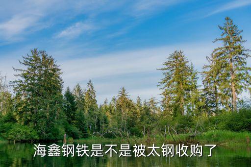 海鑫鋼鐵是不是被太鋼收購(gòu)了