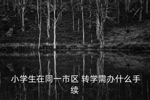  小學(xué)生在同一市區(qū) 轉(zhuǎn)學(xué)需辦什么手續(xù)