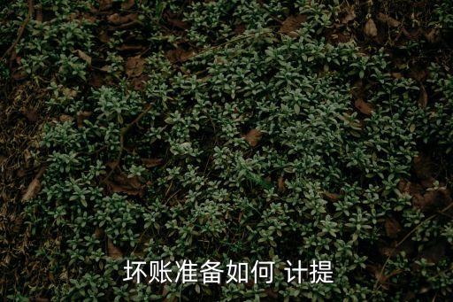  壞賬準(zhǔn)備如何 計(jì)提