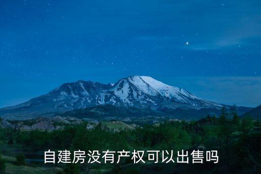 自建房沒有產(chǎn)權可以出售嗎