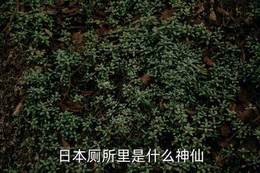牟波，你好我想問問姓牟的男孩取什么名字好聽
