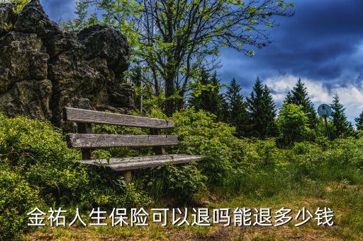 金祐人生保險可以退嗎能退多少錢