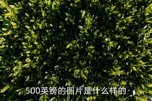 500英鎊，500英幣能換人民幣多少