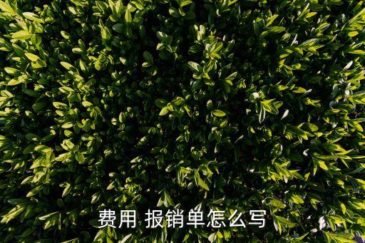 報(bào)銷(xiāo)單填寫(xiě)樣本,差旅費(fèi)報(bào)銷(xiāo)單填寫(xiě)樣本
