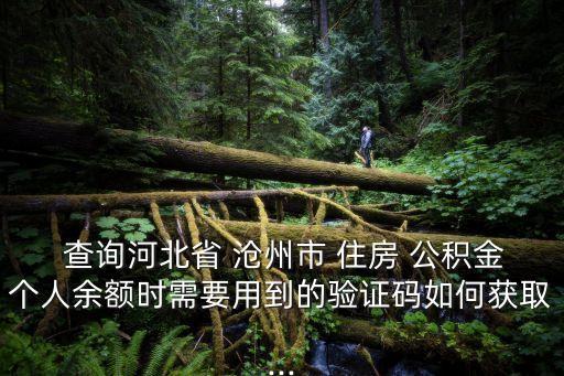 滄州市住房公積金查詢