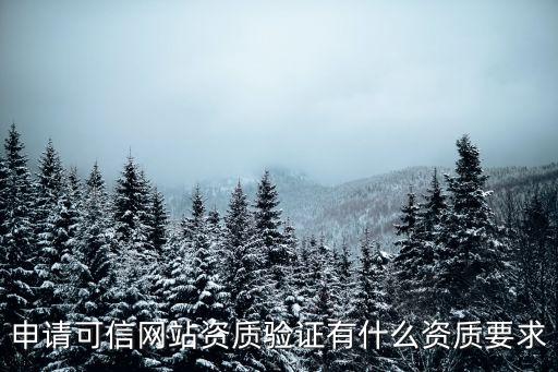 申請可信網(wǎng)站資質(zhì)驗證有什么資質(zhì)要求