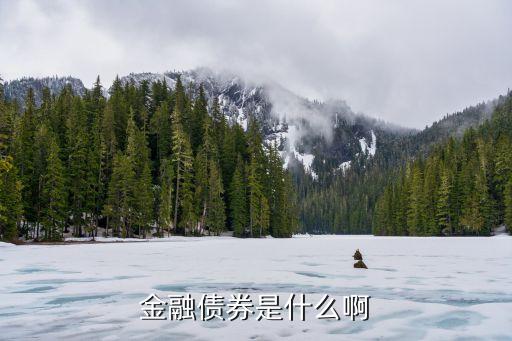 金融債券，金融債券是什么啊