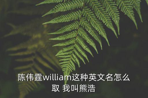 熊浩，熊浩為什么這么笨
