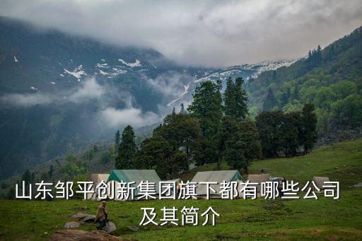 山東鄒平創(chuàng)新集團(tuán)旗下都有哪些公司 及其簡(jiǎn)介