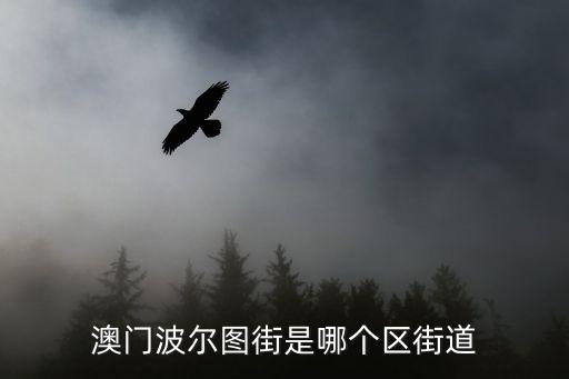 澳門波爾圖街是哪個區(qū)街道