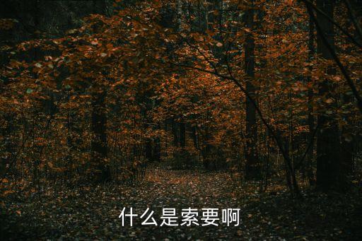 什么是索要啊