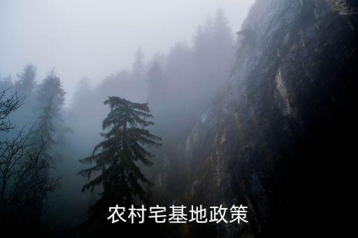 農(nóng)村宅基地政策