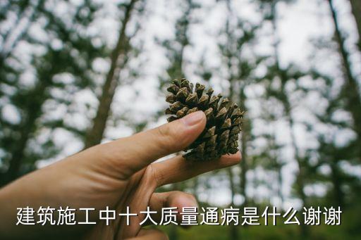 質(zhì)量通病，混凝土施工中有哪些質(zhì)量通病如何防治