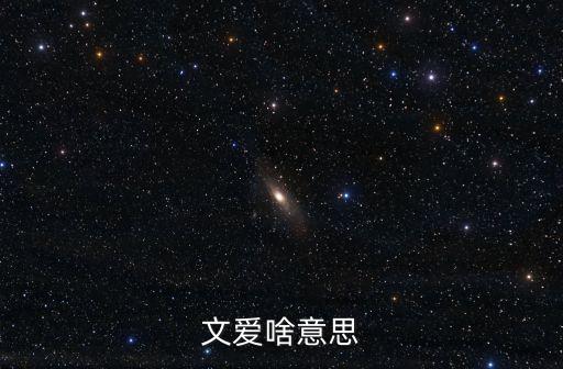 文愛怎么做，文愛啥意思