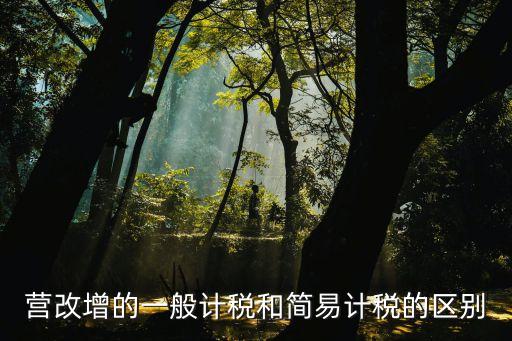 簡易計稅和一般計稅的區(qū)別，營改增的一般計稅和簡易計稅的區(qū)別